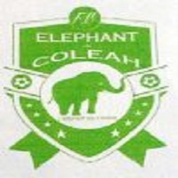 Eléphant de Coléah